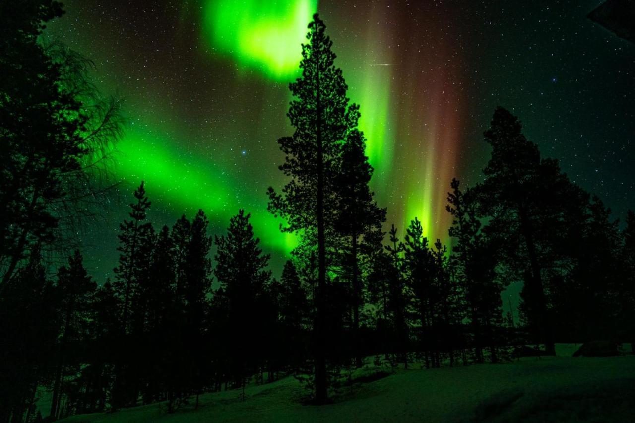 Norlight Cottages Ivalo - Tuli Екстериор снимка